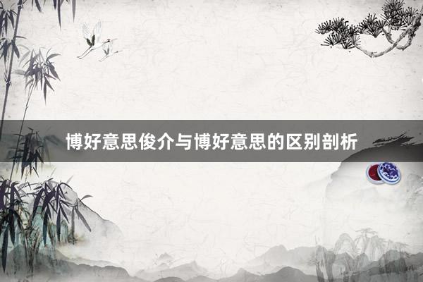 博好意思俊介与博好意思的区别剖析